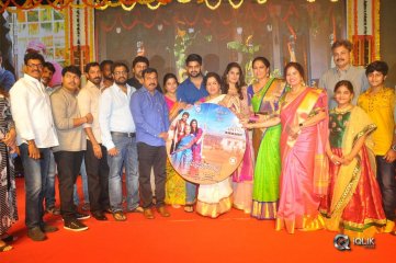 Ammammagarillu Movie Pre Release Function Photos